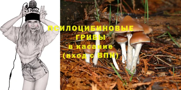 гидропоника Медвежьегорск