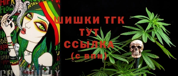 МДПВ Медногорск