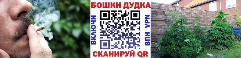 Конопля семена Нахабино